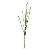 Umetna rastlina pasja trava  (Višina: 84 cm, Zelene barve, Plastika) | 8471 - Seidenblumen/Kunstpflanzen | IDDQ - Seidenblumen/Kunstpflanzen | IDD - Trendy | ID - Trendy | I - Stadtgarten | BAUHAUS