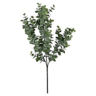 Kunstpflanze Eukalyptus (Höhe: 65 cm, Grün, Kunststoff)