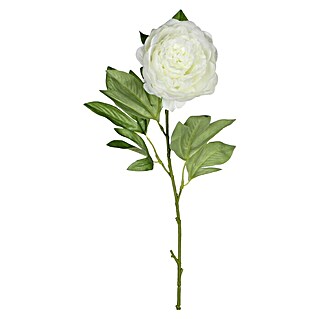 Umjetni cvijet Božur (Blanca, Visina: 76 cm, Plastika)