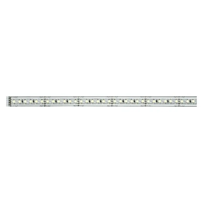 Paulmann MaxLED 1.000 Tira LED - Largo: 1 m, Color de luz: Blanco diurno, 11,5 W, 1.100 lm, Recubierto - Tira LED con LEDs brillantes sobre una tira flexible para iluminación decorativa y de acento en interiores.