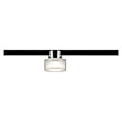 Paulmann URail LED-Spot Topa (5,2 W, Chrom matt/Transparent/Satin, L x B x H: 73 x 80 x 80 mm)