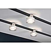 Paulmann URail LED-Spot Topa (5,2 W, Chrom matt/Transparent/Satin, L x B x H: 73 x 80 x 80 mm)