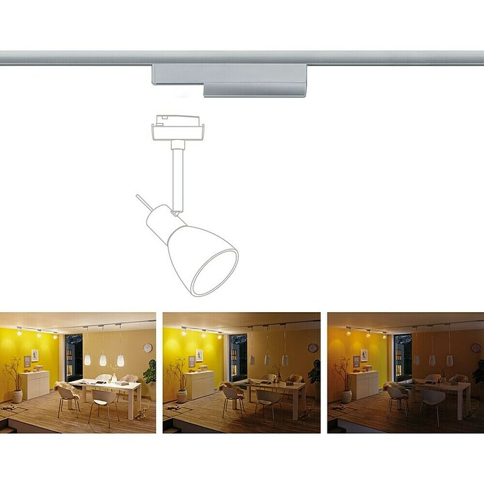 Paulmann URail Controlador (Potencia máx.: 50 W, Plástico, L x An x Al: 5 x 2 x 16,6 cm)