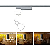 Paulmann URail Controlador (Potencia máx.: 50 W, Plástico, L x An x Al: 5 x 2 x 16,6 cm)