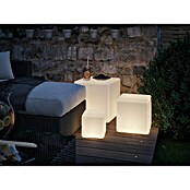 Paulmann Plug & Shine Lámpara LED decorativa (6,5 W, Blanco, L x An x Al: 30 x 30 x 30 cm)