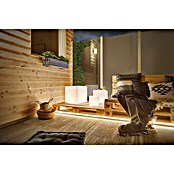 Paulmann Plug & Shine Lámpara LED decorativa (6,5 W, Blanco, L x An x Al: 30 x 30 x 30 cm)
