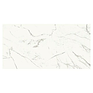Wandfliese Marmi Calacata (30 x 60 cm, Weiß, Glänzend)