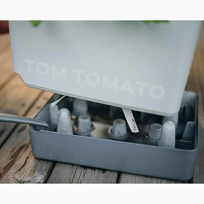 Pomodoro Pot Tom Tomato