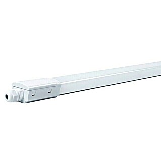 LED svjetiljka za vlažne prostorije (36 W, Duljina: 1.145 mm, Hladna bijela)