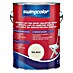 swingcolor Lak u boji 