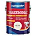 swingcolor Lak u boji 