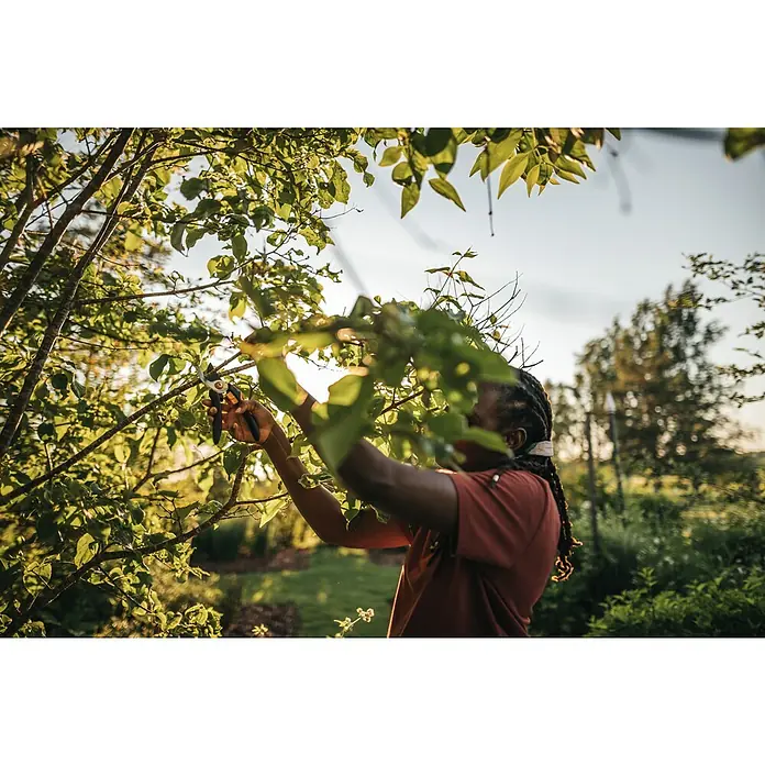Fiskars Solid Gartenschere P321 - Schneidsystem: Bypass, Max. Aststärke: 20 mm - Eine Person mit einer Gartenschere, die Äste an einem Baum beschneidet, wobei das Werkzeug und die grüne Vegetation im Vordergrund stehen.