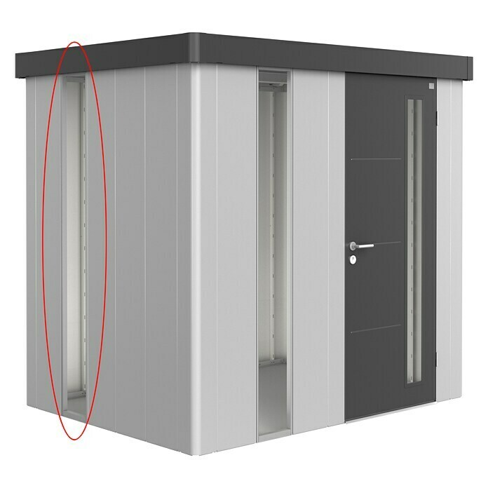 Biohort Neo Glaseinsatz (Passend für: Biohort Gerätehaus Neo, Silber Metallic) | BAUHAUS