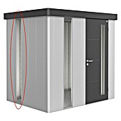 Biohort Neo Glaseinsatz (Passend für: Biohort Gerätehaus Neo, Silber Metallic) | BAUHAUS