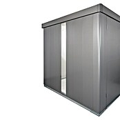 Biohort Neo Glaseinsatz (Passend für: Biohort Gerätehaus Neo, Dunkelgrau Metallic) | BAUHAUS