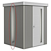 Biohort Neo Glaseinsatz (Passend für: Biohort Gerätehaus Neo, Quarzgrau Metallic) | BAUHAUS