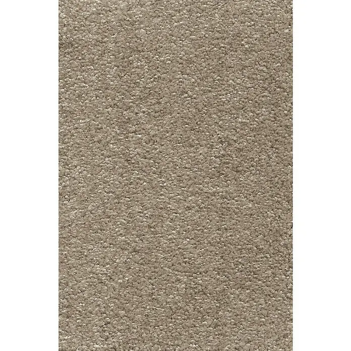 Teppichboden Meterware Nele - Breite: 400 cm, Frisée, 100 % Polypropylen (Flor), Beige - Detailaufnahme eines beigefarbenen Teppichs. Die Textur ist dicht und flauschig, ideal für Wohnräume.