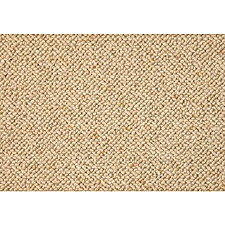 Teppichboden Meterware Arno (Breite: 400 cm, Schlinge, 100 % Wolle (Flor), Creme)