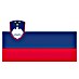 Flagge Slowenien 