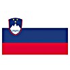 FLAGGE SLOWENIEN 20X30CM