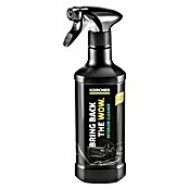 Kärcher Sredstvo za čišćenje unutrašnjosti vozila  (500 ml) | BAUHAUS