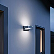 Steinel LED-Außenleuchte L 810 iHF Up-/Downlight (Leistung: 12 W, Farbe Gehäuse: Edelstahl, IP44)