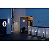 Steinel Aplique exterior LED L 840 SC (9,1 W, 13,4 x 11 x 11 cm, Plateado, IP44) | BAUHAUS