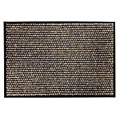 Astra Miami Sauberlaufmatte (Anthrazit/Braun, 100 x 67 cm)
