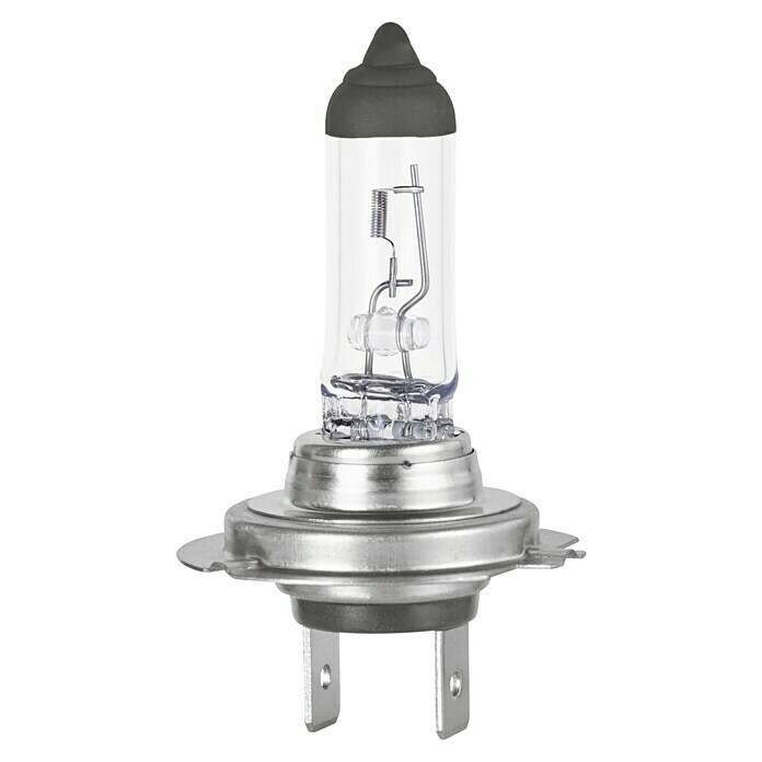 Formula 1® Hauptscheinwerfer-Lampen CL730 (H7, 2 Stk.) | BAUHAUS