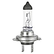 Formula 1® Hauptscheinwerfer-Lampen CL730 (H7, 2 Stk.) | BAUHAUS