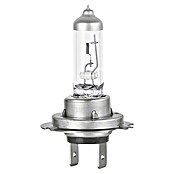 Formula 1® Hauptscheinwerfer-Lampen CL750 (H7, 2 Stk.) | BAUHAUS