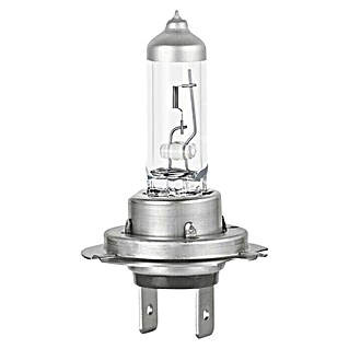 Formula 1® Hauptscheinwerfer-Lampen CL750 (H7, 2 Stk.)