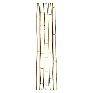 Bambusskelett (2 m, Durchmesser: 8 cm - 12 cm)