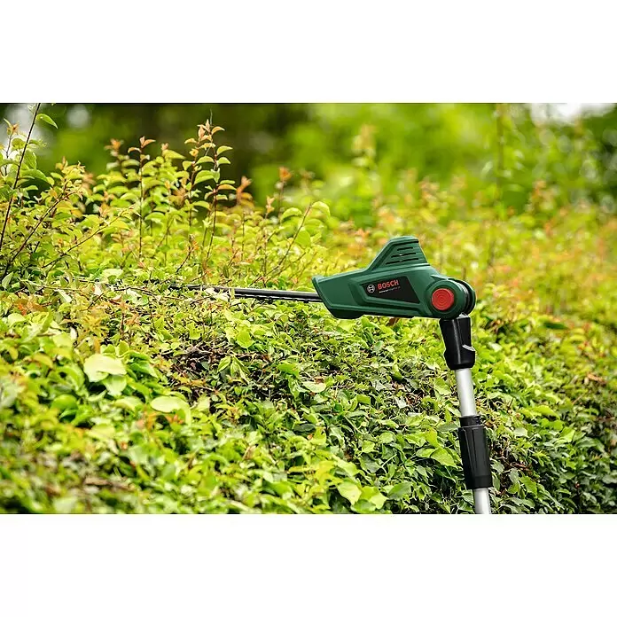 Bosch Power for All 18V Teleskop-Heckenschere UniversalHedgePole 18 - 18 V, Li-Ionen, Ohne Akku, Schnittlänge: 43 cm - Anwendungsbeispiel