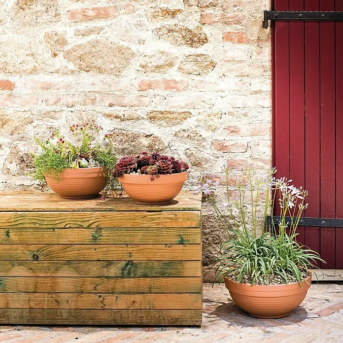 Deroma Recipiente para plantas redondo Deroma - Diámetro exterior máx.: 32 cm, Materiales naturales, Rojo klinker - Tres jardineras de terracota con varias plantas en un banco de madera contra una pared de ladrillo y puerta roja.