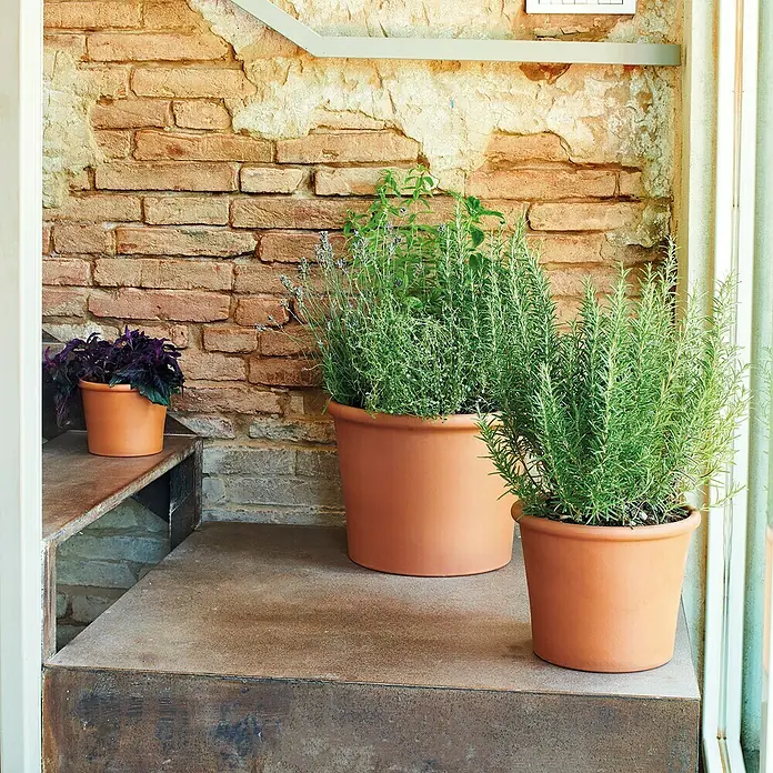 Deroma Maceta para planta - Dimensiones externas (Ø x Al): 38 x 28,9 cm, Materiales naturales, Rojo klinker - Hierbas en macetas en escalones contra una pared de ladrillos, formando una decoración preciosa y natural para cualquier espacio.