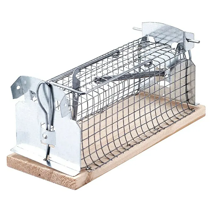 Swissinno Classic Drahtkasten-Mausefalle - Lebendfalle - Nahaufnahme einer Lebendfalle für Mäuse, bestehend aus einem Holzboden und einem Käfig aus Metalldraht.
