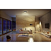Ledvance Smart+ WiFi Led-plafondlamp, rond Ceiling Plate (26 W, Ø x h: 430 x 70 mm, Grijs) | BAUHAUS
