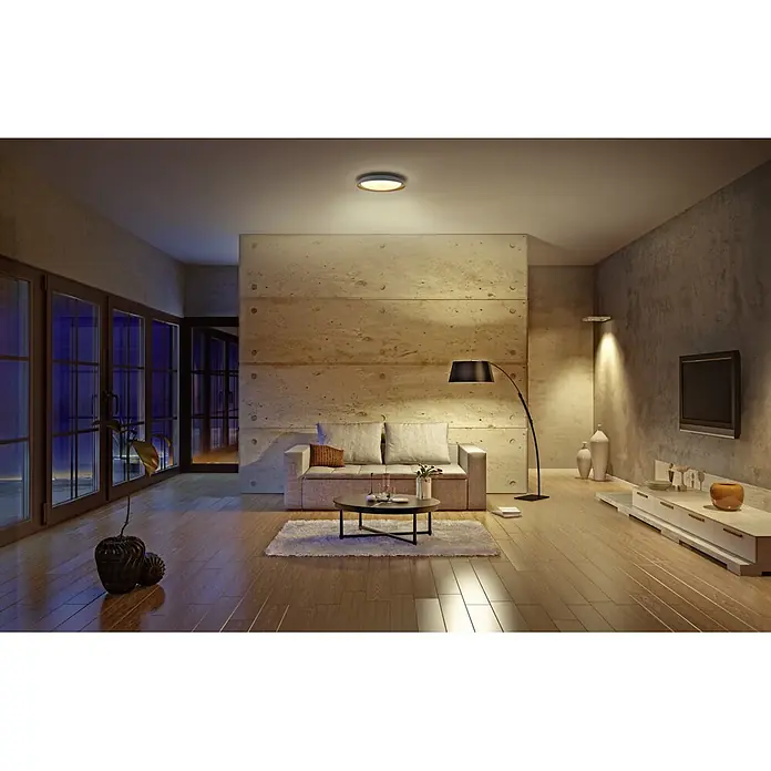 Ledvance Smart+ WiFi LED-Deckenleuchte rund Ceiling Plate - 26 W, Ø x H: 430 x 70 mm, Grau - Wohnzimmer mit minimalistischer Deckenleuchte, die warmes Licht spendet. Das Design ist modern und unauffällig.