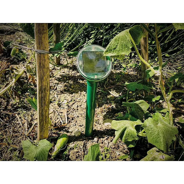 Swissinno Nagetiervertreiber Solar - Solarbetrieben, Wirkungsbereich: 650 m² - Das Bild zeigt einen grünen Solar-Maulwurfvertreiber, der in einem Garten mit Pflanzen und Holzzäunen aufgestellt ist.