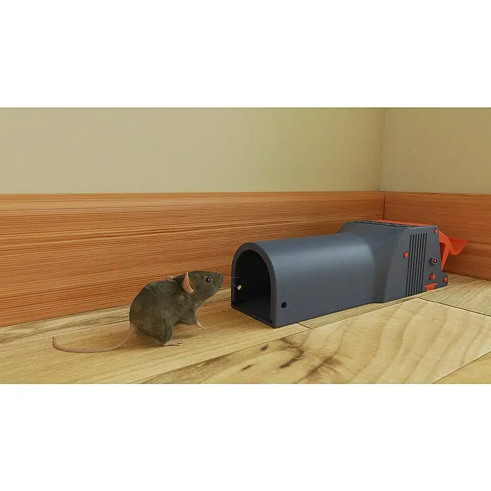 Swissinno SuperCat Mausefalle No See No Touch - Spezialfalle, Kunststoff, 1 Stk. - Eine Ratte, die auf eine Rattenfalle mit einem Stück Käse im Inneren zuläuft, die auf einem Holzboden steht.