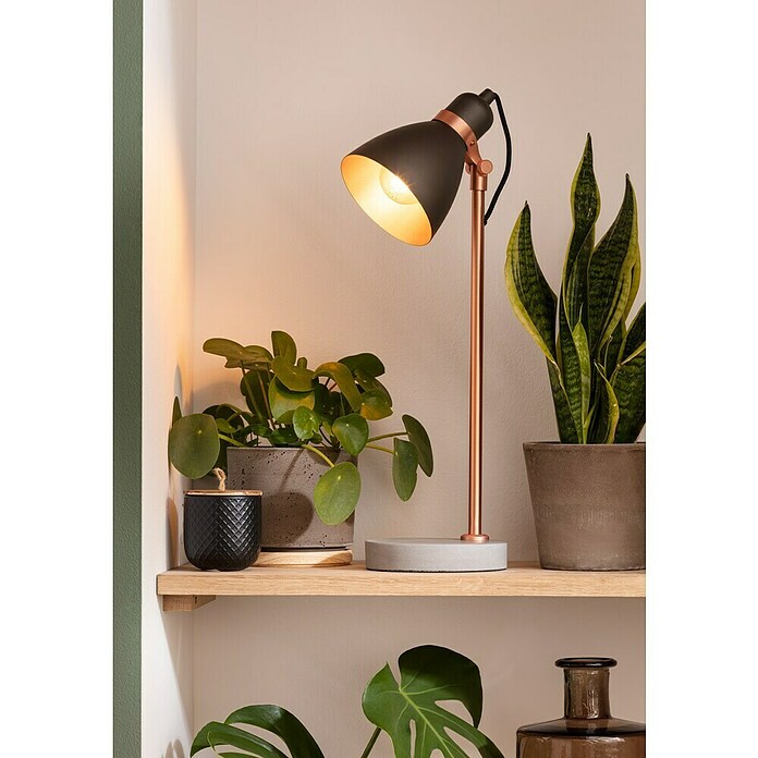 Regalux Wandboard (24 x 118 x 3,8 cm, Eiche, Belastbarkeit: 12 kg)