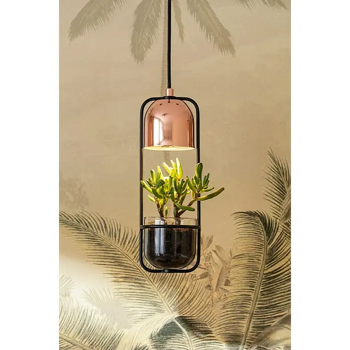 Paulmann Fanja Lámpara colgante Neordic - 20 W, Negro/Cobre, GU10 - Lámpara colgante con acento de cobre y jardinera integrada. El moderno elemento de diseño combina iluminación y vegetación de manera elegante.