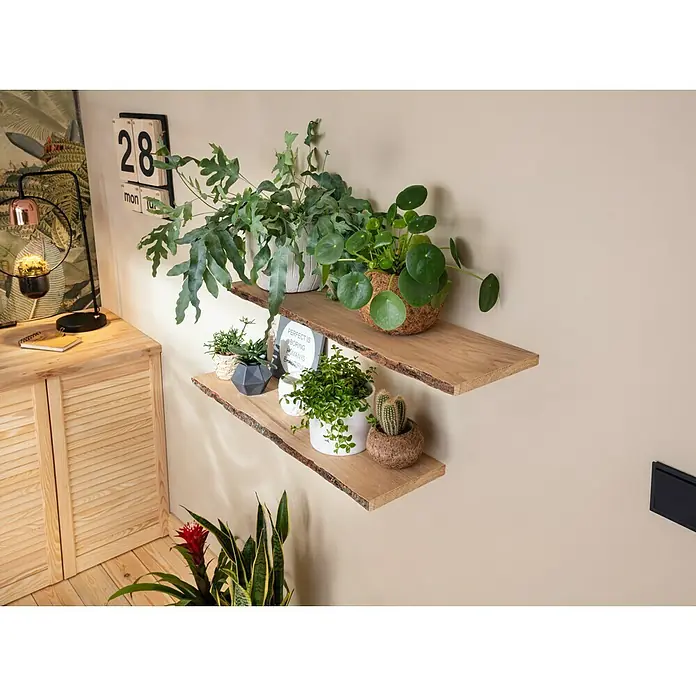 Baufan Pronatur Wandfarbe Lehmfarbe - Naturweiß, Matt, 10 l, Lösemittelfrei - Dekorative Holzregale mit Pflanzen, die eine natürliche und gemütliche Atmosphäre schaffen. Ideal für stilvolle Wandgestaltung im Innenbereich.