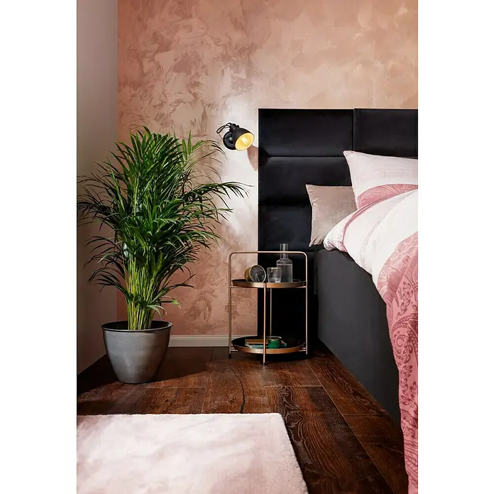 SCHÖNER WOHNEN-Farbe Trendstruktur Farbeffektputz Metall-Optik Effektfarbe - Kupfer, Glänzend, 375 ml - Einrichtungsidee mit einem hohen Grünpflanze im Topf, einem Nachttisch mit Deko und einem schwarzen Bett mit gemusterten Kissen.