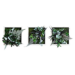 styleGreen Pflanzenbild (Dschungelquadrate, L x B x H: 22 x 22 x 4 cm)