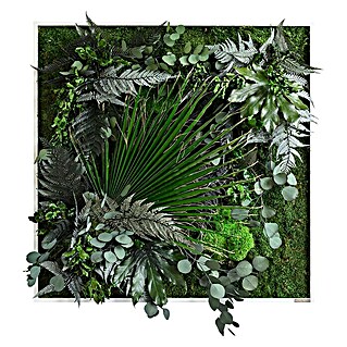 styleGreen Pflanzenbild (80 x 80 cm)
