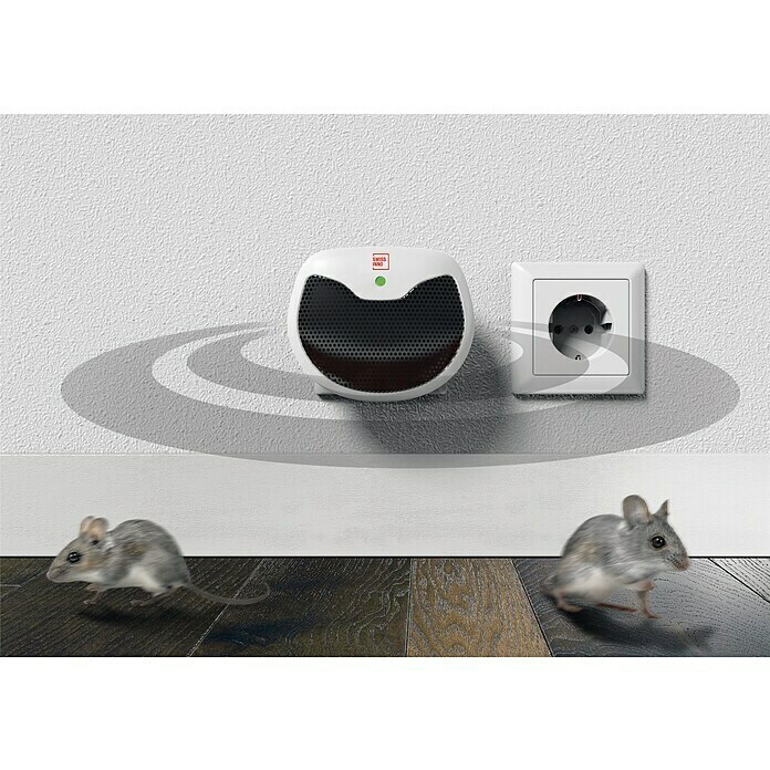 Swissinno Repelente de roedores por ultrasonidos Mini (Rendimiento térmico: 15 m²)