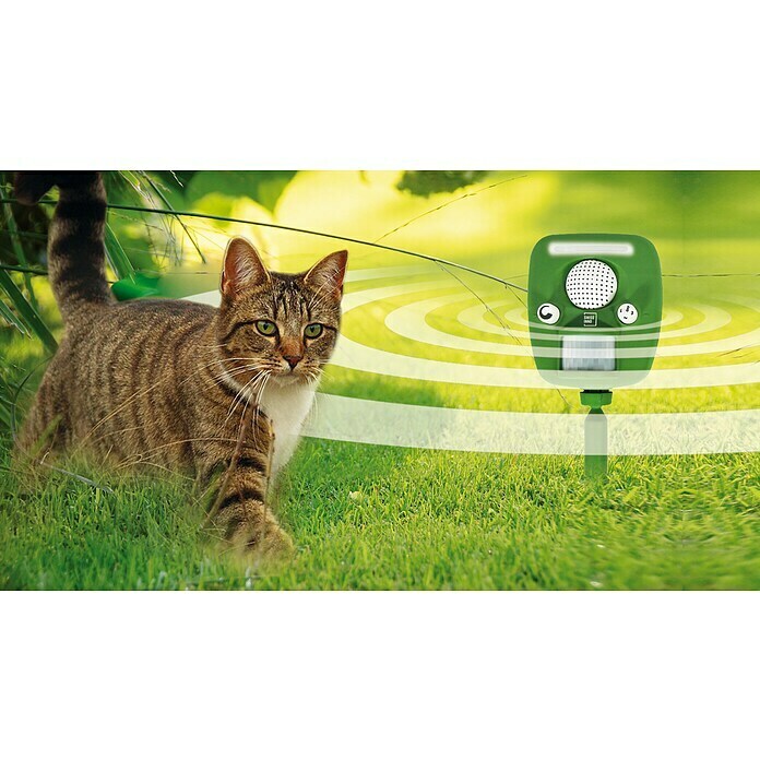 Repelente de gatos ultrasónico, alarma de luz y sonido ahuyentador de  animales, carga solar, repelente de insectos a prueba de agua para perros y  gatos, etc.