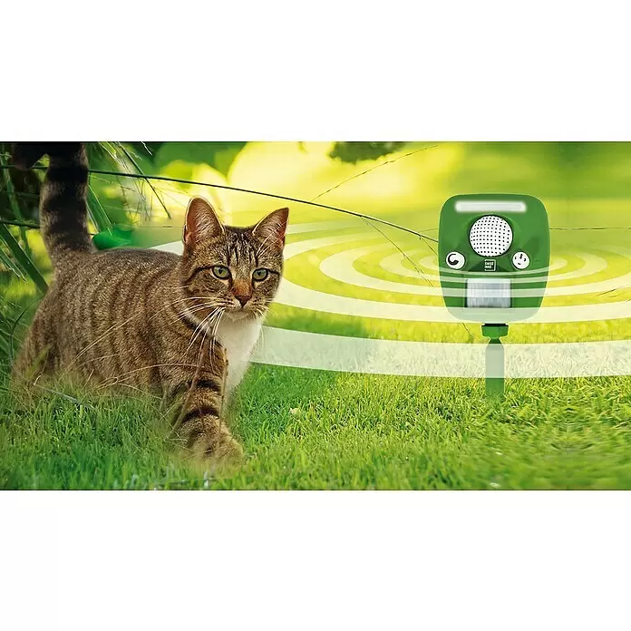 Swissinno Tiervertreiber - Wirkungsbereich: 100 m² - Anwendungsbeispiel